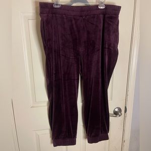 Express pants